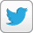 twitter icon link